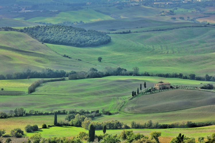 Toscana_3.jpg